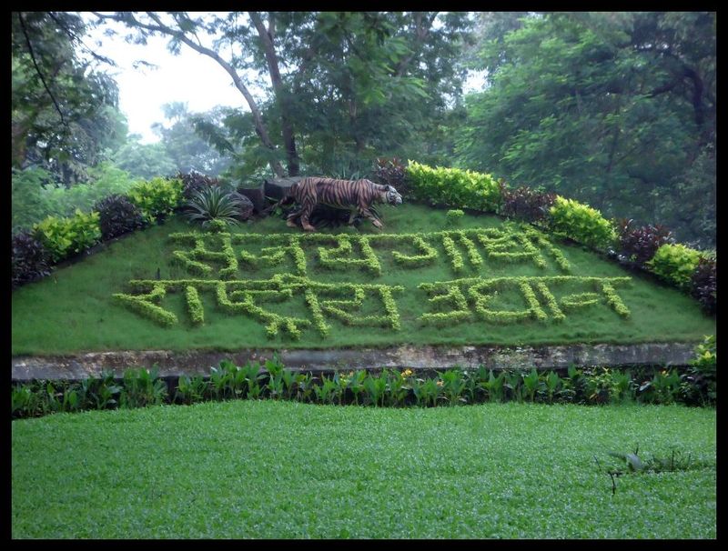 sanjay-gandhi-national-park